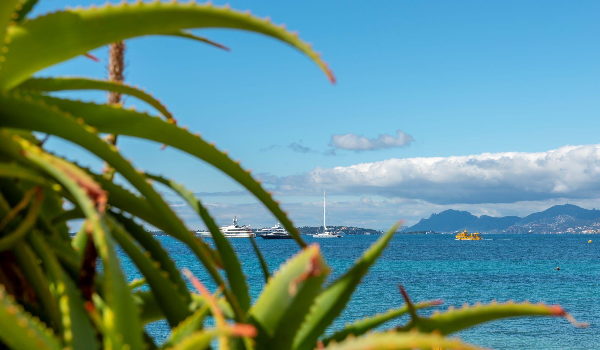 Hotel The 1932 & Cap D'antibes - Mgallery Collection 4*